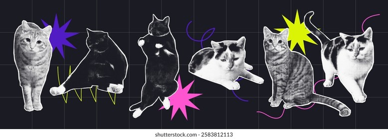 set of halftone Retro Pop Art Cats on a Bold Neon Abstract Background