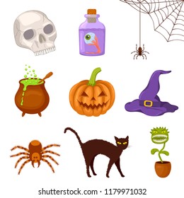 Set of Halloween icons isolated on white background. Spooky pumpkin, cat, poison pot, hat and other design elements. Color vector illustration