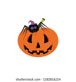 Set with Halloween pumpkin and spider. Background is separate. Happy Halloween Day