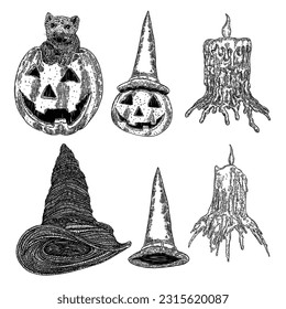 Set of Halloween smiling pumpkins. Pumpkin in the witch hat and familiar cat. Pointy witches hats and candles for skull. Carved pumpkin candlelight set. Vector.