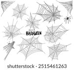 Set of Halloween spider web isolated on transparent background. Spider web line art vector. Web spider vector illustration. Outline illustration of spider web cobweb vector icons for Halloween