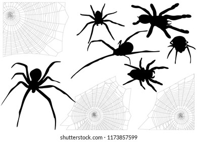 set for Halloween from spiders and their webs