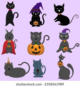 set of Halloween-themed elements, including a black cat, a pumpkin, and a jack-o'-lantern. The cat is sitting on top of the pumpkin, which is surrounded by a black background. The jack-o'-lantern has 