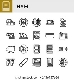 Set of ham icons such as Bacon, Steak, Ribs, Tenderloin, Chicken, Minced meat, Mutton, Pig, Ham, Smoked sausage, Meatloaf, Meat , ham