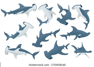 Set of hammerhead shark underwater giant animal simple cartoon character design flat vector illustration isolated on white background