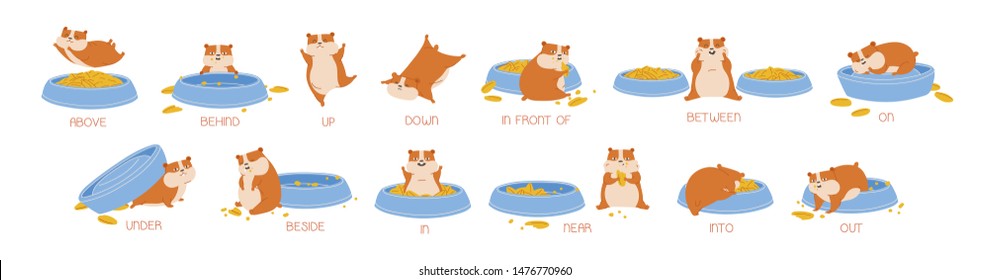 Set of hamster demonstrating English prepositions of place and movement. Bundle of funny animal with feeder and words demonstration. Educational flat cartoon vector illustration for language learning.