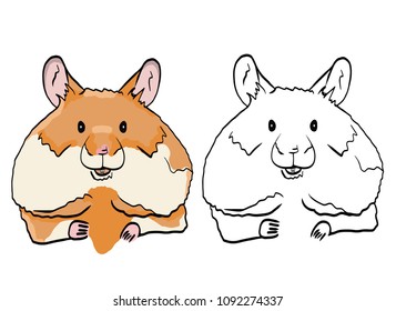 Set of hamsters on white background. Hamster sketches with color and line art.