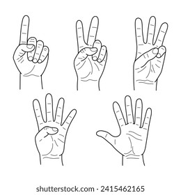 A set of hand doodle illustrations showing the numbers 1, 2, 3, 4, 5. Sketches vector illustration.