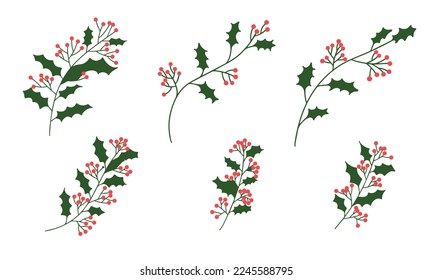 Set of hand draw branch with red berry. Vector illustration.