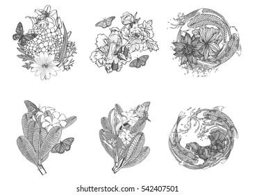 Set hand draw butterfly with frangipani, lily with koi, flowers with birds.greeting card for wedding, vintage flowers composition. decorative background and text, vector illustration EPS10.