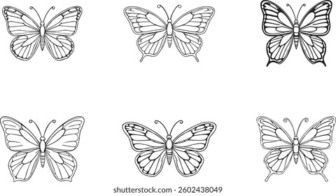 Set of hand draw Butterfly vector illustration for kids books for children	