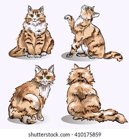 Set of hand draw colored cats in sketch style like watercolor. Vector illustration