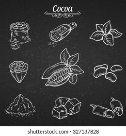 set hand draw decorative cocoa chocolate, vector illustration