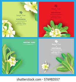 Set hand draw frangipani flower.greeting card garden, invitation card for wedding, vintage flowers composition. decorative background and text, vector illustration EPS10.