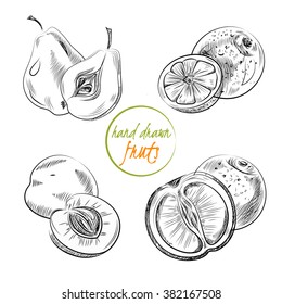 Set of hand draw fruits. Vector.