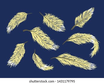 set of hand draw gold feather vector on blue background