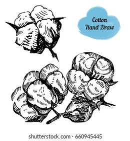 Set of hand draw ink cotton branch. Vector engraving illustration. Use for postcards, posters, wedding invitation, print for t-shirts, tissue, linens