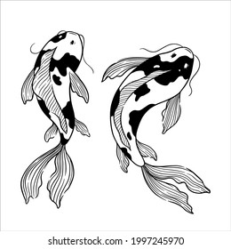 set of hand draw koi fish vector illustration