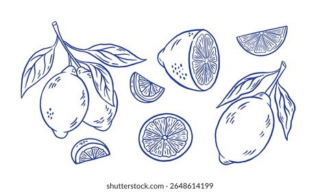 Set of hand draw lemon with leaves vector illustration. Doodle sliced citrus fruit isolated. La dolce vita. Italy summer sketch style 
