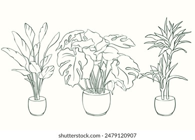 conjunto de plantas de contorno de dibujo a mano.	