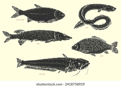 Set hand draw river fish in sketch cartoon style. Pike, eel, catfish, carp. Vector illustration.