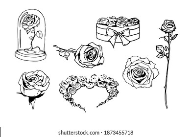 Dibujo a mano flores de rosa, doodle