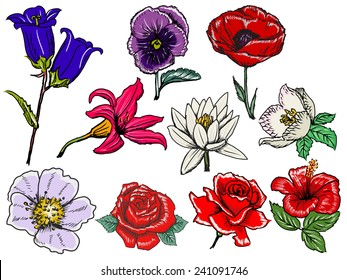 set of hand draw, sketch illustrations of flowers