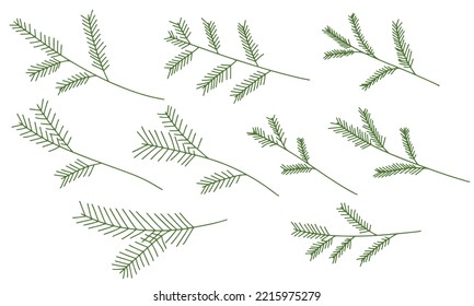 Set of hand draw spruce branch vector illustration