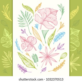Set from  hand draw structure of  tropic leaves colorful on white in line art for creative design package flyer banner or for decoration package of  cosmetic or  perfume or for design of  botanical th
