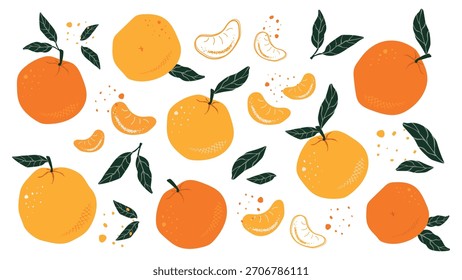 Conjunto de Tangerinas ou Laranjas de Desenho Manual. Desenho abstrato de citrinos com folhas e fatias sobre um fundo branco. Vetor