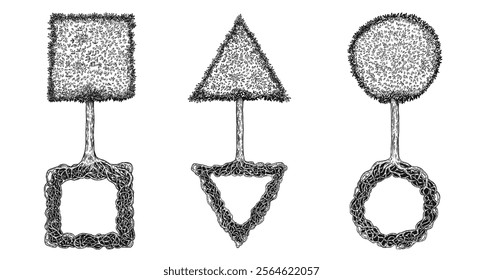 Set of hand draw tree with triangle, circle and square crown and roots in monochrome ink sketch style. Creative vector botanical illustration.