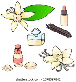 Set of hand draw vanilla flowers, oil, soap, perfume