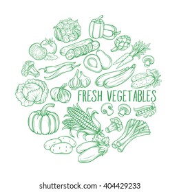 Set hand draw vegetables . Vector vegetables  in the old ink style. Decorative monochrome vegetables   for vegan products, brochures, banner, restaurant menu and  market 