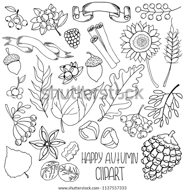 Set Hand Drawing Autumn Leaves Berries Stock Vector (Royalty Free ...