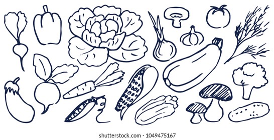 Set of hand drawing black and white vegetables vector illustration with cabbage mushrooms carrot garlic onion cucumber isolated on bright background