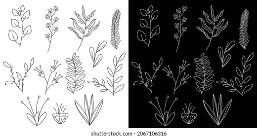 Set of hand drawing botanical floral line. vector illusration