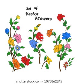 Set of hand drawing branches with flowers. Colorful flowers, buttons and leaves on a branch. Vector illustration.