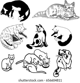Set of hand drawing cats, isolated on white. Vector illustration.