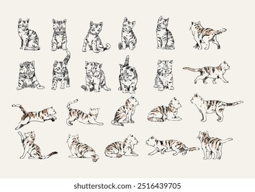 Set of Hand drawing cats vintage style vector illustration collection. Line art, outline domestic animals collection.