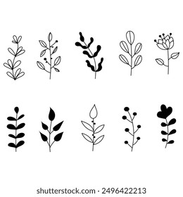 Set of Hand Drawing Cute Decorative Plants Leaves Grass Background