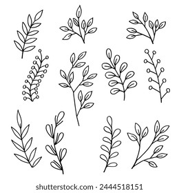 Set of hand drawing of decorative leaves illustration vector