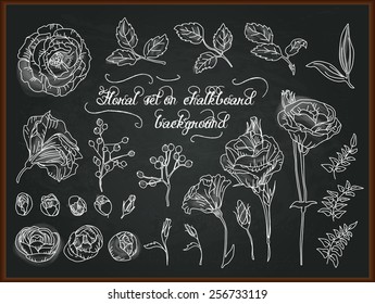 Set of hand drawing flowers for design. Floral chalk painting on blackboard. Vector illustration.