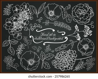 Set of hand drawing flowers for design. Floral chalk painting on blackboard. Floral elements to create compositions. Vector illustration.
