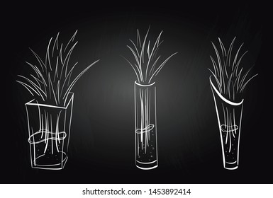 Set of hand drawing grass in transparent vases. Isolated vector objects.