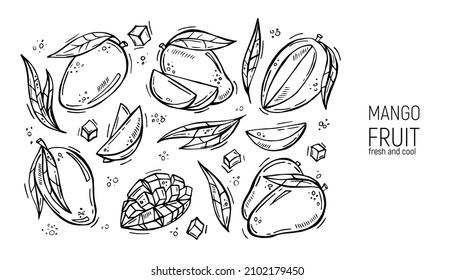 Set of hand drawing mango. For labels, menus, design, posters and printing