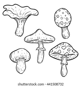 Set of hand drawing mushroom on white background