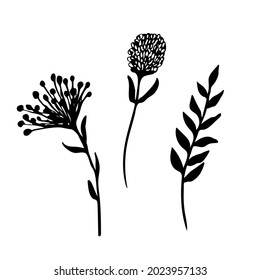 Conjunto de plantas de dibujo a mano de estilo doodle. Elemento botánico en tinta negra para el diseño de tarjetas, postales, patrones, cubiertas. Ilustración vectorial aislada en fondo blanco.