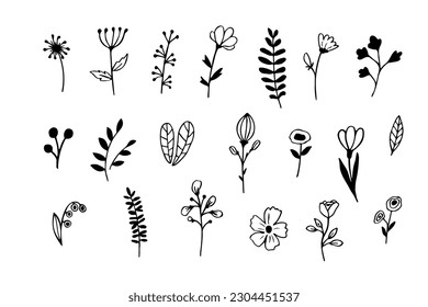 Set of hand drawing plants of in doodle style. Botanical element in black ink for the design of cards, postcards, patterns, covers. Vector illustration isolated on white background.