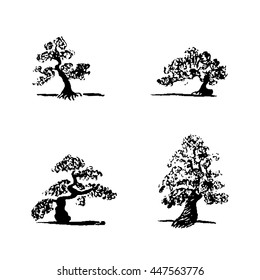 Set of hand drawing sketch four bonsai trees on white background. Vector black bonsai trees.