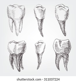 Set Of Hand Drawing Teeth For Dentist.  Old Style On Paper